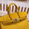 爱马仕 Birkin 25cm 琥珀黄 银扣 尼罗鳄鱼皮拼Togo牛皮 原版蜜蜡线 现货
