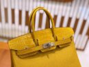 爱马仕 Birkin 25cm 琥珀黄 银扣 尼罗鳄鱼皮拼Togo牛皮 原版蜜蜡线 现货