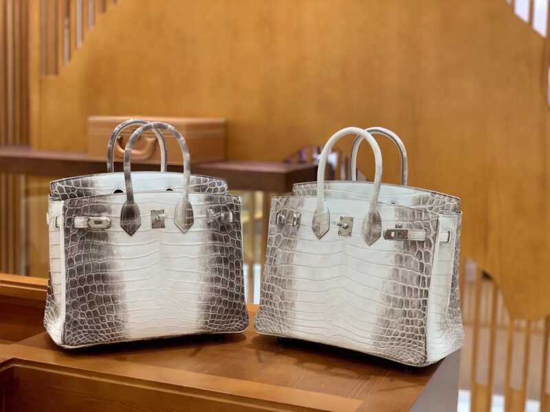 爱马仕 Birkin 铂金包 喜马拉雅 深色 特级品质 一级皮 尼罗鳄鱼皮 银扣 25cm - Image 2