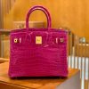 爱马仕 Birkin 30cm 天方夜谭紫 金扣 一级皮 尼罗鳄鱼皮 臻品级别