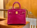 爱马仕 Birkin 30cm 天方夜谭紫 金扣 一级皮 尼罗鳄鱼皮 臻品级别