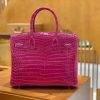 爱马仕 Birkin 30cm 天方夜谭紫 金扣 一级皮 尼罗鳄鱼皮 臻品级别