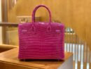 爱马仕 Birkin 30cm 天方夜谭紫 金扣 一级皮 尼罗鳄鱼皮 臻品级别