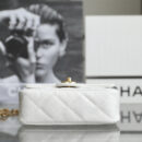 Chanel23P-Chanel手袋-Chanel包袋