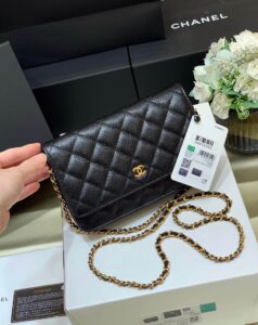 Chanel Woc 19cm A33814/