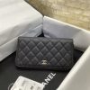 CHANEL 经典款进口球纹拉链钱夹 AP0242黑色/金扣