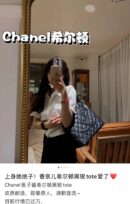 CHANEL Haas鱼子酱牛皮 Vintagep 希尔顿包 A91030
