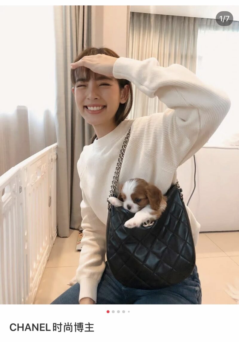 CHANEL 2022cc春夏预告系列22p嬉皮腋下包AS3153黑色 - Image 3