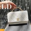 CHANEL 2022cc春夏系列字母手柄Woc发财包 AP2804白色