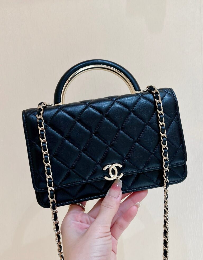 Chanel 22a woc Ap2844