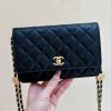 i1658110236_1196_0.jpg CHANEL 22A高级手工坊系列金币WOC链条包 AP2840黑色