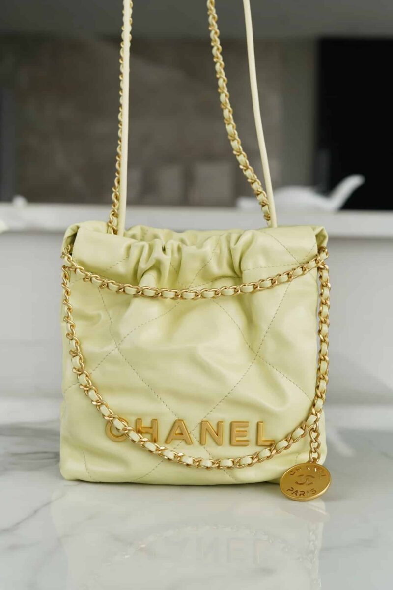CHANEL 23s春夏新款22Mini bag AS3980 B08037 NN289