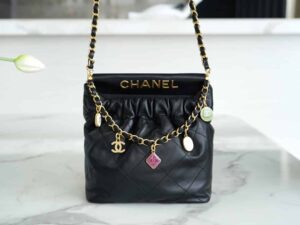 Chanel 23p Mini 22bag As3793