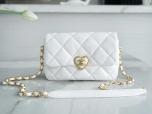 Chanel 23s cf Mini As3986