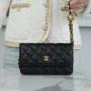 CHANEL 23C金属球手机包 AP3071B0291694305