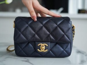 Chanel 21/22 As2855