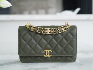 Chanel 22k woc Ap3019