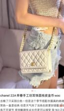 CHANEL 22A 高级手工坊金币WOC链条包 AP2840白色