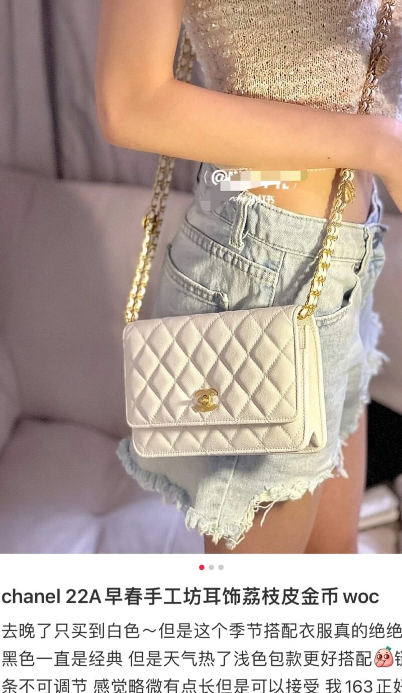CHANEL 22A 高级手工坊金币WOC链条包 AP2840白色 - Image 2