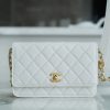 CHANEL 22A 高级手工坊金币WOC链条包 AP2840白色