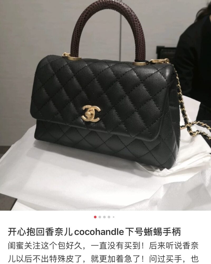 CHANEL 小号 coco handle 24cm 仿蜥蜴皮手柄翻盖包 A92990 - Image 2