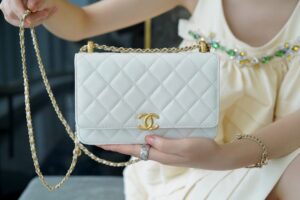 Chanel 2021woc Ap2289