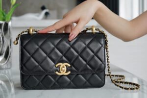 Chanel 2021 Cf Mini 22cm As2649