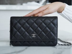 Chanel Woc 19cm A33814