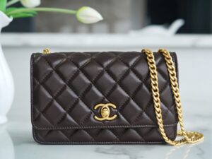 Chanel 22k woc Ap3043