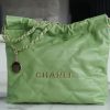 wsxc1673541529029_1.jpg CHANEL 22 小号手袋 AS3260牛油果绿