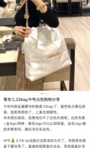 CHANEL 22 手袋 AS3261白色金扣