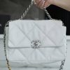 wsxc1677604109140_1.jpg CHANEL 中号30CM 19BAG AS1161白色/银扣