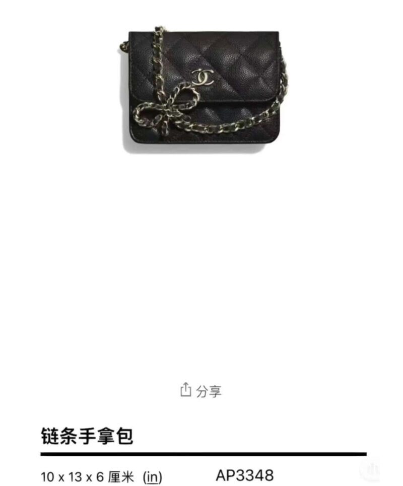 CHANEL 23S 春夏新款 蝴蝶结小废包 AP3348 - Image 2