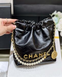 Chanel 23s Mini 22 Bag As3980