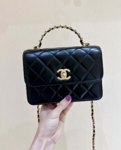 Chanel 23p 23p Small Flap Bag As3886