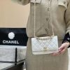 CHANEL 22k 秋冬高级成衣系列 荔枝牛皮woc AP3019白色