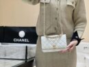 CHANEL 22k 秋冬高级成衣系列 荔枝牛皮woc AP3019白色