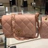 CHANEL 23k 秋冬系列19 宽肩带口盖包 AS4423粉色