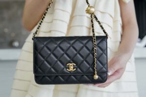 Chanel Woc Ap1450