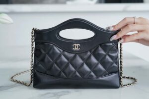 Chanel 24s 31bag nano Ap3656