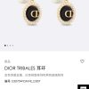 ☑️DIOR迪奥CD滴油大小珍珠耳钉耳环