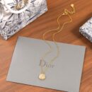 ☑️DIOR迪奥白色CD项链