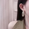 香奈儿耳钉耳环 ☀️☑️ 香奈儿c1双c半圆珍珠耳钉耳环 ☀️