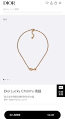 ☑️DIOR迪奥桃心爱心CD项链