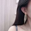 ☑️DIOR迪奥流苏珍珠耳钉耳环