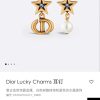 ☑️DIOR迪奥桃心爱心CD珍珠不对称耳钉耳环