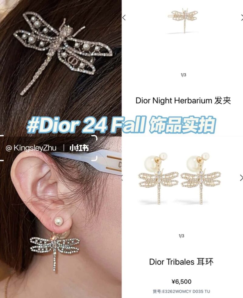 ☑️DIOR迪奥蜻蜓发夹发卡 - Image 4