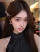 ☑️DIOR迪奥蜻蜓发夹发卡