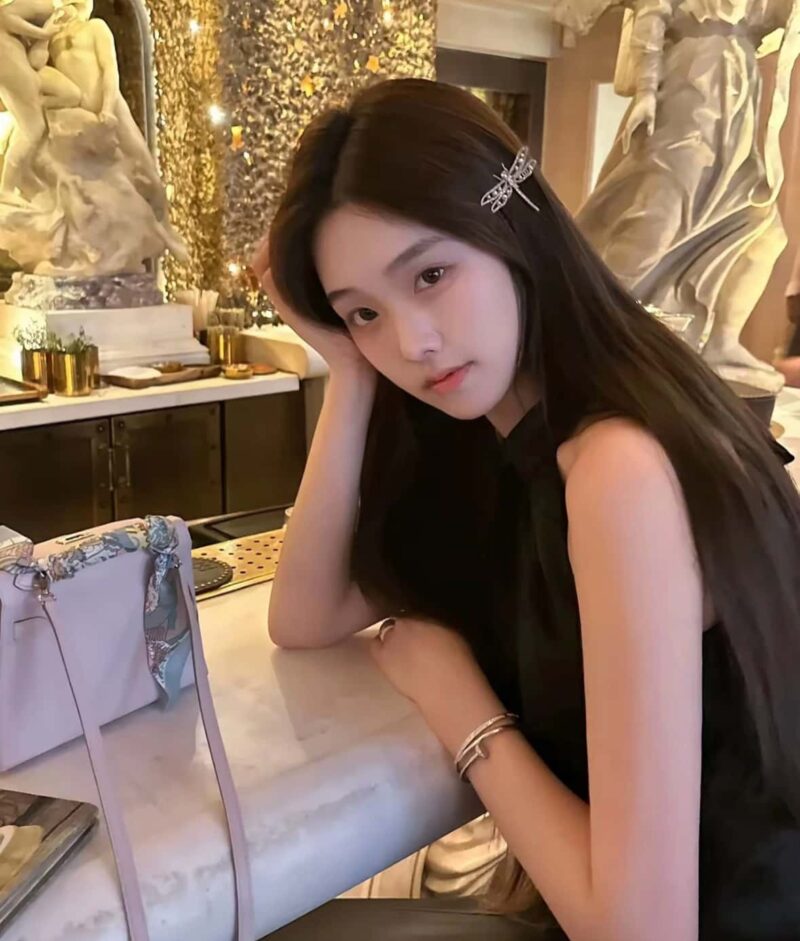 ☑️DIOR迪奥蜻蜓发夹发卡 - Image 7