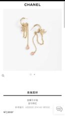 ☑️CHANEL香奈儿c2双c流苏粉钻圆形耳钉耳环